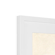 The Pine Trees of El Monte, California Framed & Mounted Print