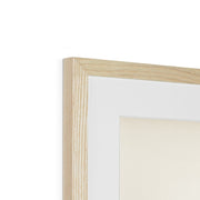 Hen Harrier male Framed & Mounted Print