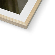 The Floor Planers Framed & Mounted Print