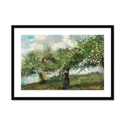 Girl Picking Apple Blossoms  Framed & Mounted Print