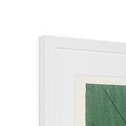 Blooming Lotus Flowers Framed & Mounted Print