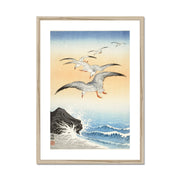 Five Seagulls Above Turbulent Sea Framed & Mounted Print