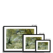 River Bank in Springtime Framed & Mounted Print