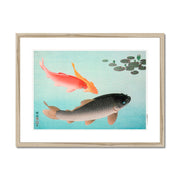 Common and Golden Carp Framed & Mounted Print