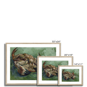 Crab on its Back Framed & Mounted Print