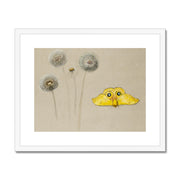 Study of White Daisy, Chamomile Stem with Two Petals, and a Chamomile Petal Framed & Mounted Print