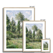 Poplars, Éragny Framed & Mounted Print