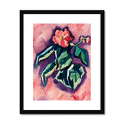 Pink Begonias Framed & Mounted Print
