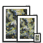 Blossoming Acacia Branches Framed & Mounted Print