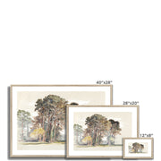 The Pine Trees of El Monte, California Framed & Mounted Print