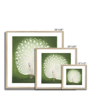 Peacock Framed & Mounted Print