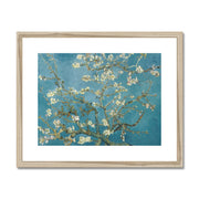 Almond blossom Framed & Mounted Print