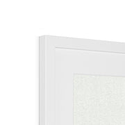 Japanese butterfly: Cho senshu (One Thousand Butterflies) 2 Framed & Mounted Print