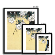 Japanese cherry blossoms Framed & Mounted Print