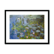 Water Lilies Framed & Mounted Print