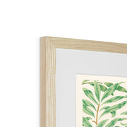 Willow Bough Framed & Mounted Print