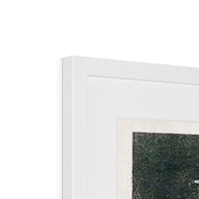 Group of Egrets Framed & Mounted Print