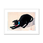 Black Cat Hissing Framed & Mounted Print