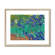 Irises Framed & Mounted Print