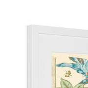 Trellis Framed & Mounted Print