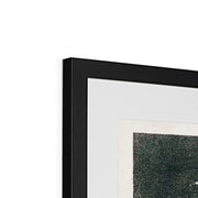 Group of Egrets Framed & Mounted Print