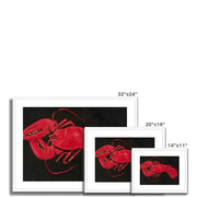 Lobster on Black Background Framed & Mounted Print