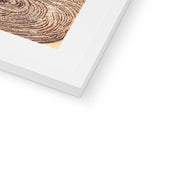 Oni, Peacock, Shishi, Cat and Insect by the Craftman Ichida Shoshichiro of Naniwa  Framed & Mounted Print