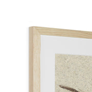 Head of a Cow or Ox Framed & Mounted Print