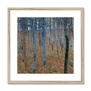 Beech Grove I Framed & Mounted Print