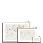 Studies of Meadow Flowers Framed & Mounted Print
