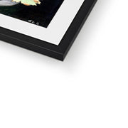 Boy with a Basket of Fruit  Framed & Mounted Print