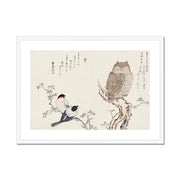 Mimizuku Uso Framed & Mounted Print