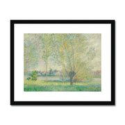 The Willows Framed & Mounted Print