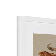 Two Studies of Cattle Framed & Mounted Print