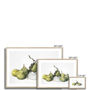 Green Pears Framed & Mounted Print