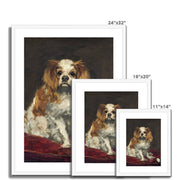 A King Charles Spaniel Framed & Mounted Print