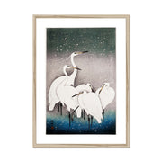 Group of Egrets Framed & Mounted Print
