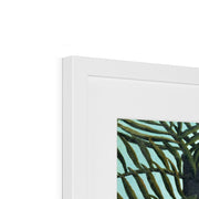 Virgin Forest with Sunset Framed & Mounted Print