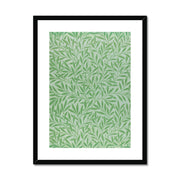 Willow Framed & Mounted Print