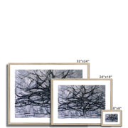 Gray Tree Framed & Mounted Print