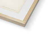 Hen Harrier male Framed & Mounted Print