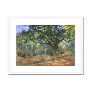 Animal fates (the trees showed their rings, the animals their veins) Framed & Mounted Print