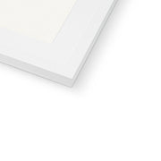 Drie zwarte paarden staand naar links kijkend Framed & Mounted Print