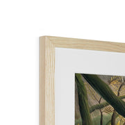 Tiger in a Tropical Storm Framed & Mounted Print