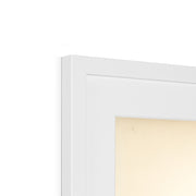 Hybrid between common house-martin and barn swallow Framed & Mounted Print