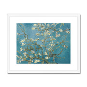 Almond blossom Framed & Mounted Print
