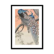 Two Peacocks on Tree Branch Framed & Mounted Print