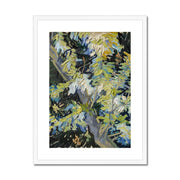 Blossoming Acacia Branches Framed & Mounted Print