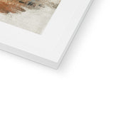 Study of a Grazing Cow  Framed & Mounted Print