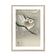 Long-Eared Owl in Ginkgo Framed & Mounted Print